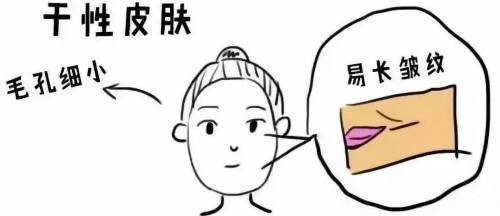 小氣泡為何如此受歡迎？
