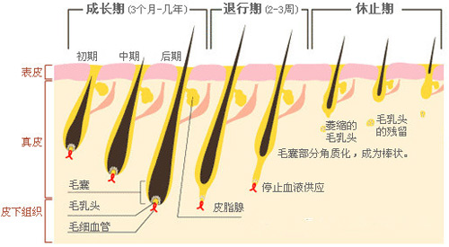 脫毛為什么一次性脫不干凈？原因在這里