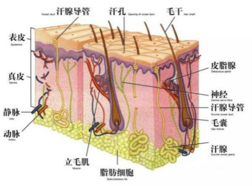 激光美容儀器有什么獨(dú)特之處？