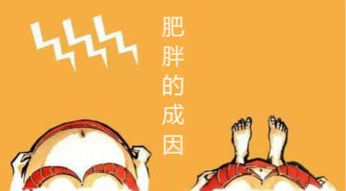 為什么我會(huì)變胖？--肥胖的成因